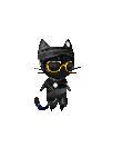 Aviator Cat