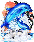 Dolphin's Free