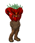 Chocolate Strawbe