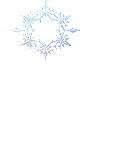 First Snow Flake