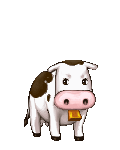 Cow