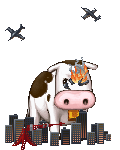 Cow Vs City