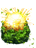Burning Bush