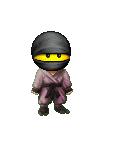 Tiny Ninja