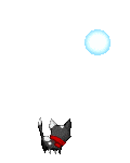 The kitty