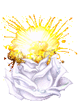Exploding flower
