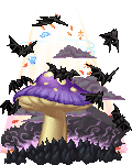 the land of the toadstool
