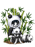 pandas in the bamboo grove
