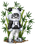 Panda!