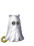 ghostly cat