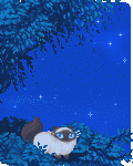Oh No! Kitty come