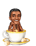 Cup of Obama