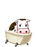 Cow in a Bath Tub