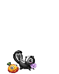 friends/ playful little skunk