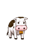 mooooooooooooooo