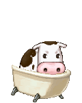 cow in the bathtub