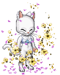 Flowa powa kitty