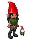 Garden Gnomes !