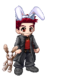 Cat Bunny Ears