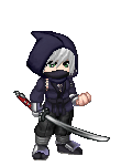 the ninja