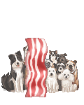 Bacon stalkers