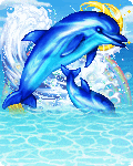 Look its Dolphins!!