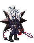 Heavily Armed Nin