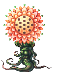 I'm a BIG Flower