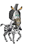 Marty the Zebra (