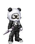 The Ninja Panda