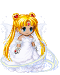 Sailor Moon's Wed