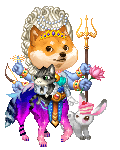 holi doge