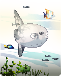 Mola Mola