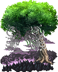 Iifa Tree -- FF9