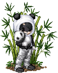 Pandora the Panda