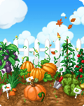 Vegetable Patch