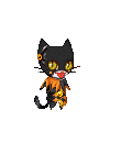 Halloween Cat