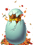The Easter Chick