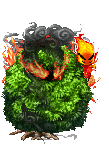 Burning Bush