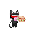 cat eating a sandwich