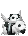 A Panda Best Friend