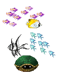 Teh ocean is life