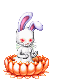 Ms Albino Bunny