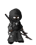 The Ninja Guardia
