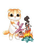 cat burning a baby