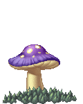 Peaceful Mushroom