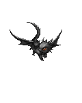 baby dragon
