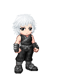 simple ninja