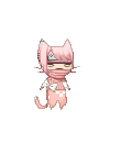 Pink Ninja Cat