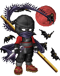 ninja of the night